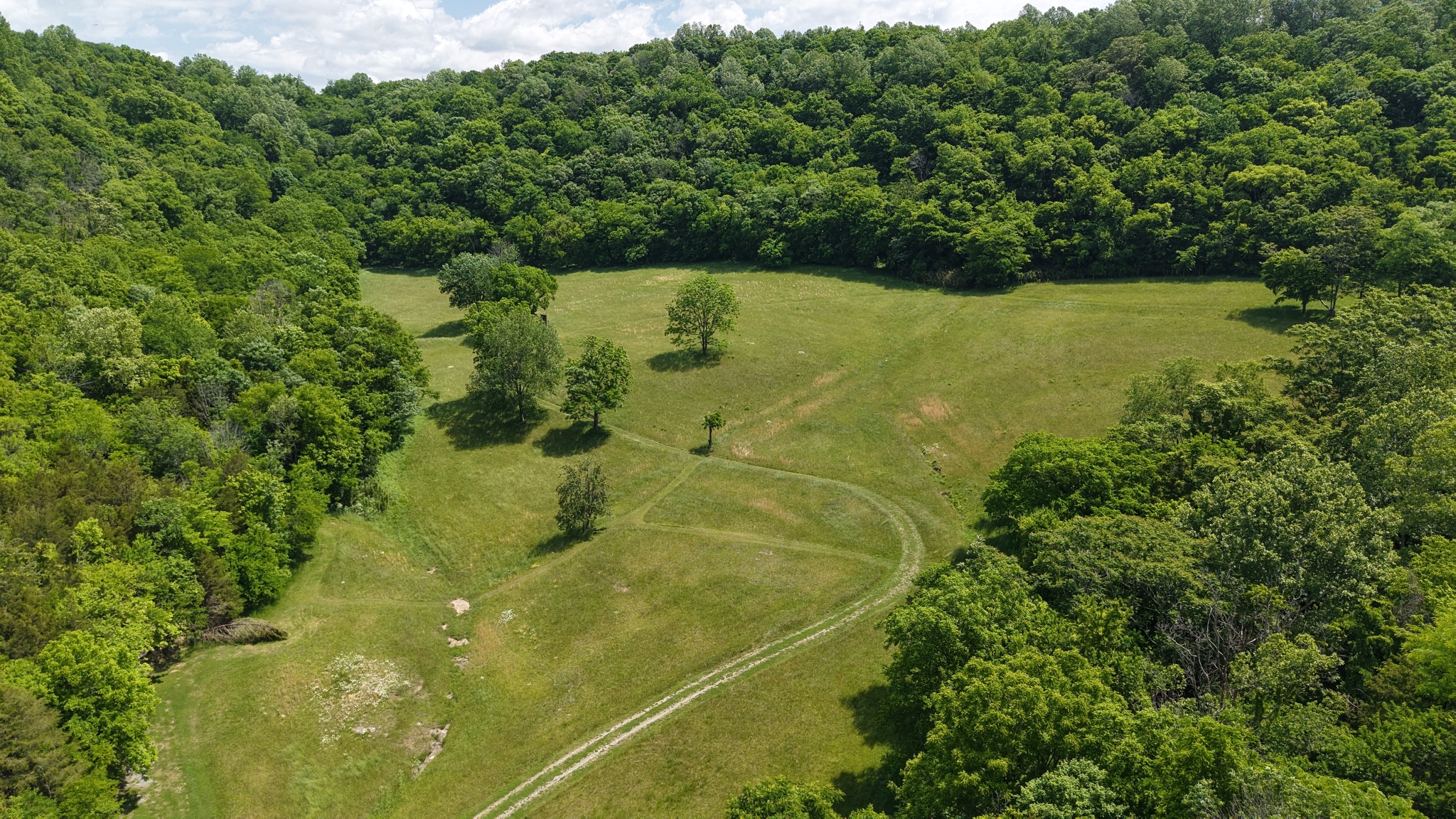 96 Maranatha Hollow Lane Dixon Springs TN 37057