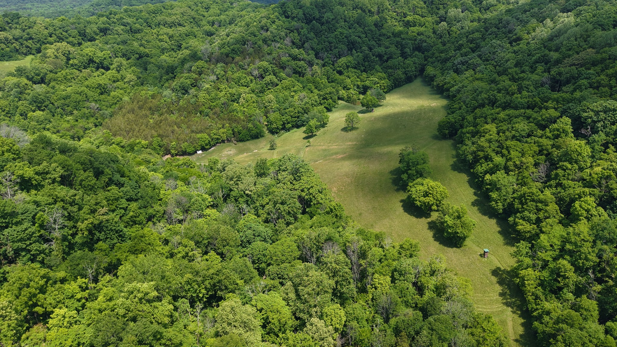 96 Maranatha Hollow Lane Dixon Springs TN 37057