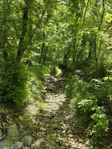 96 Maranatha Hollow Lane Dixon Springs TN 37057