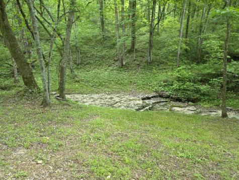 96 Maranatha Hollow Lane Dixon Springs TN 37057
