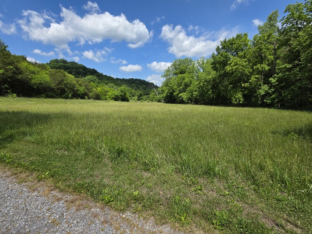 96 Maranatha Hollow Lane Dixon Springs TN 37057