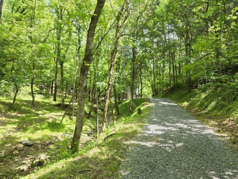 96 Maranatha Hollow Lane Dixon Springs TN 37057