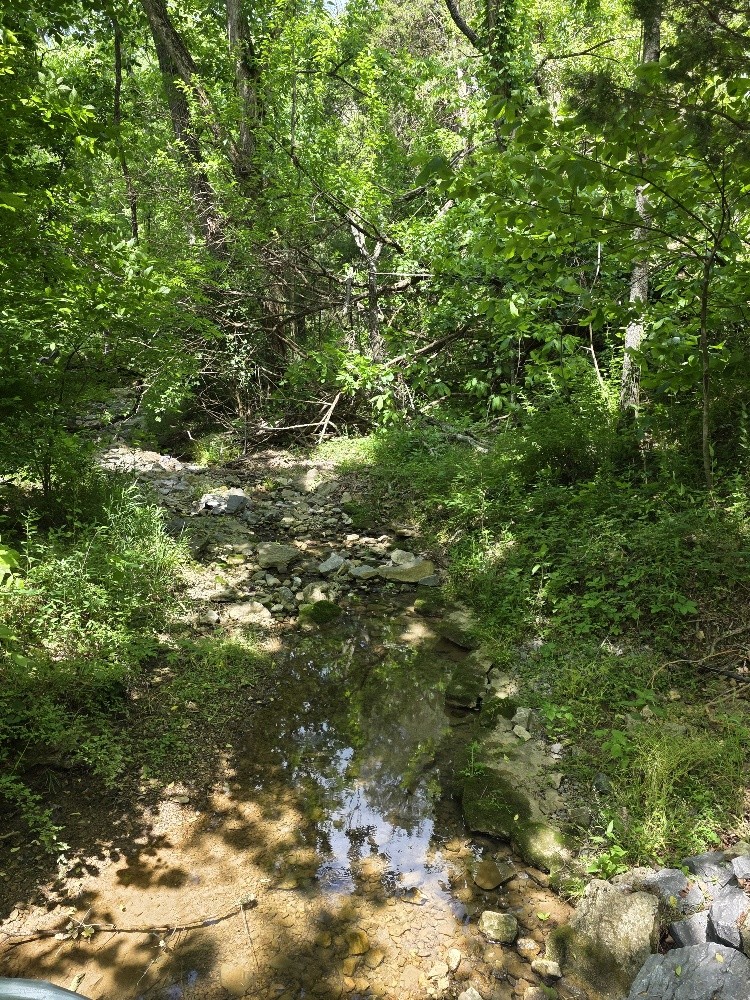 96 Maranatha Hollow Lane Dixon Springs TN 37057