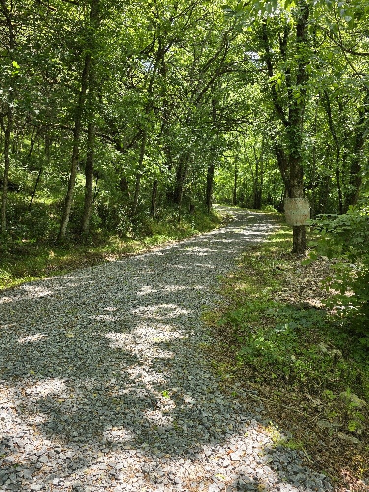 96 Maranatha Hollow Lane Dixon Springs TN 37057
