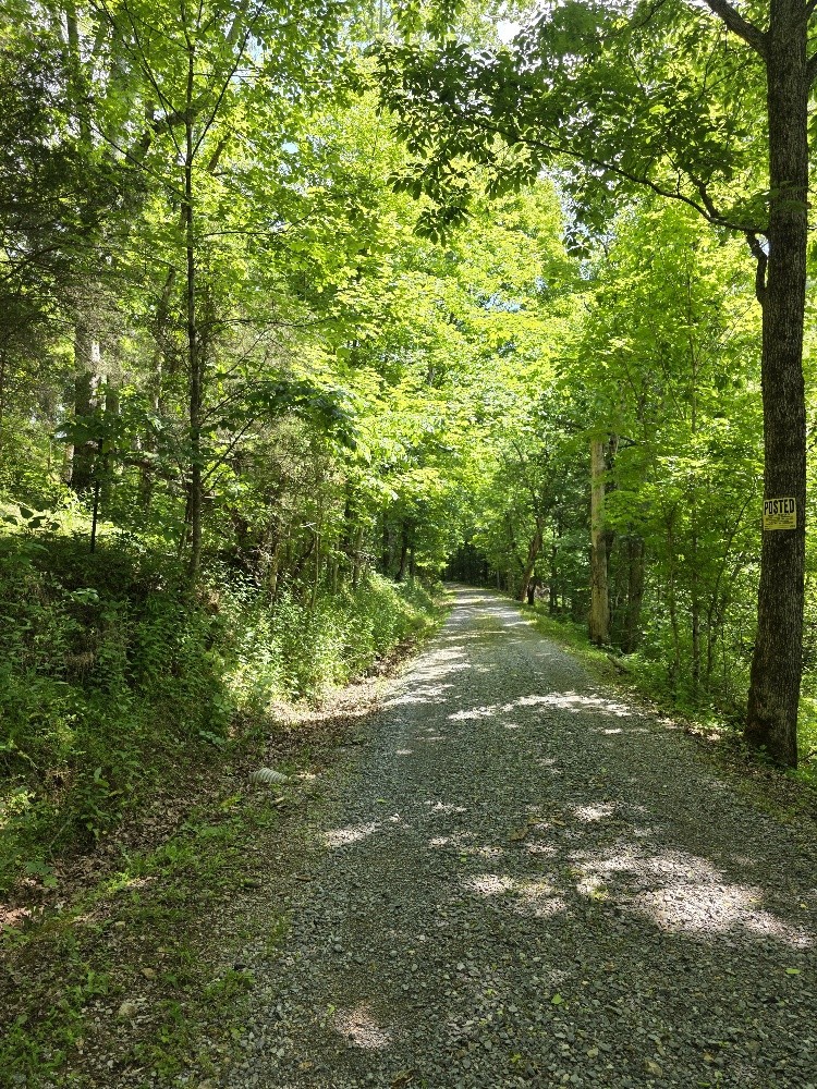 96 Maranatha Hollow Lane Dixon Springs TN 37057