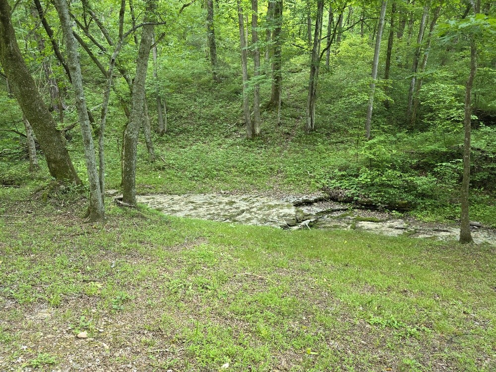 96 Maranatha Hollow Lane Dixon Springs TN 37057