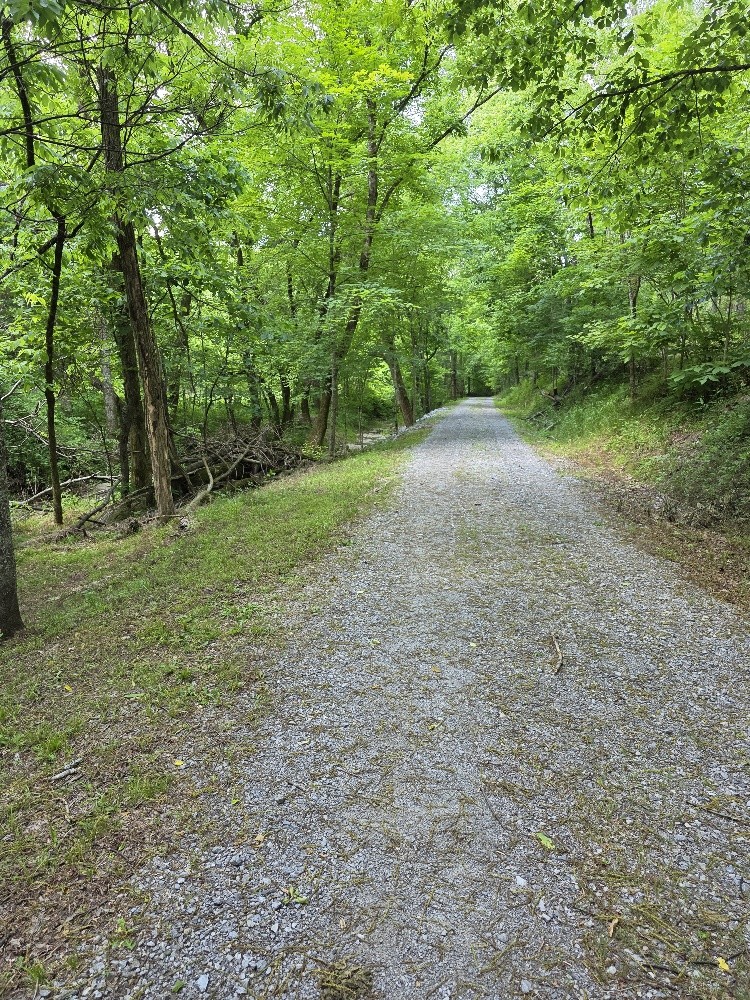 96 Maranatha Hollow Lane Dixon Springs TN 37057