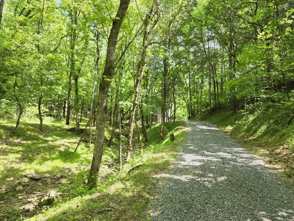 96 Maranatha Hollow Lane Dixon Springs TN 37057