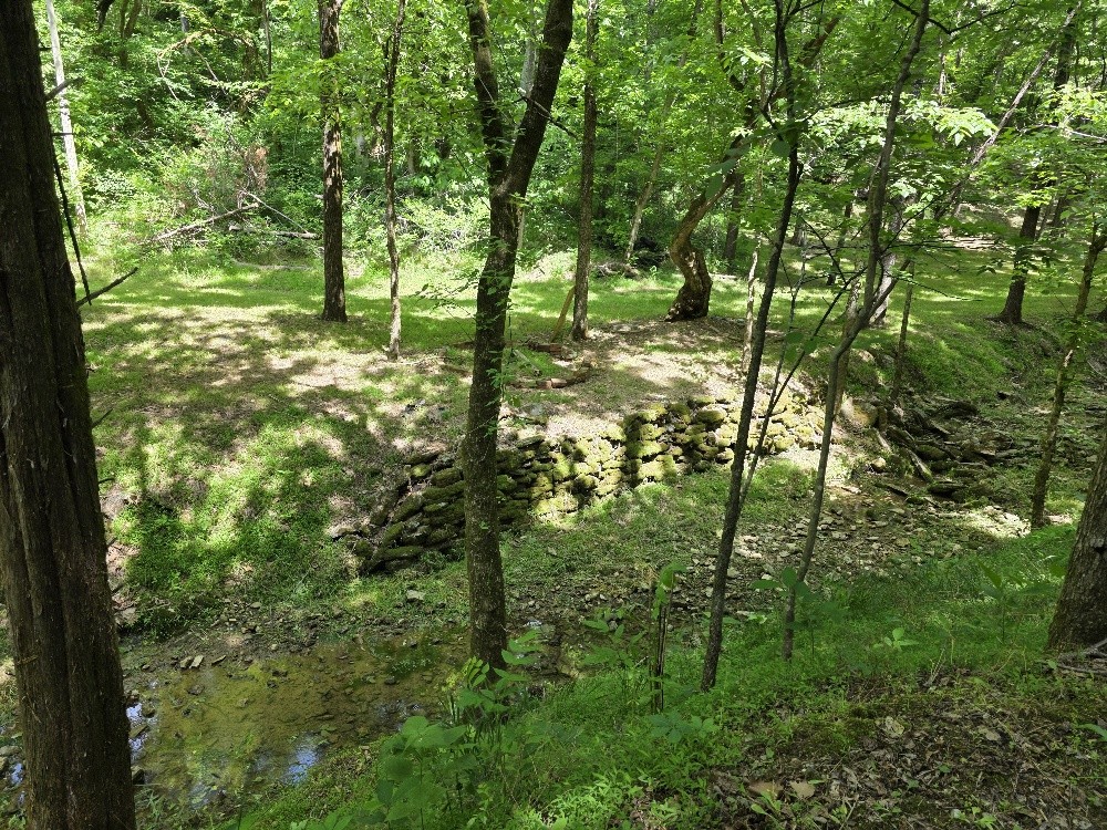 96 Maranatha Hollow Lane Dixon Springs TN 37057