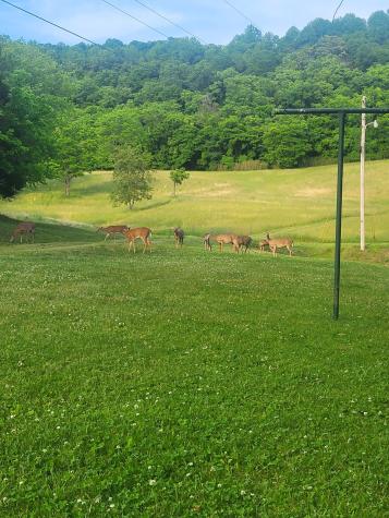 96 Maranatha Hollow Lane Dixon Springs TN 37057