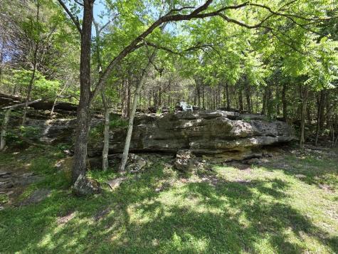 96 Maranatha Hollow Lane Dixon Springs TN 37057