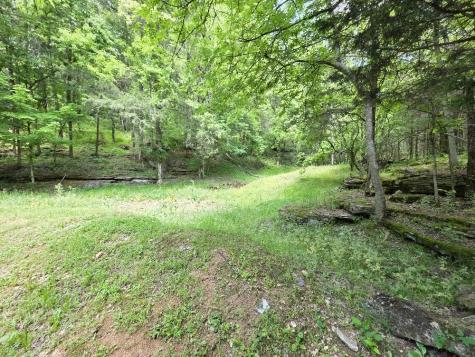 96 Maranatha Hollow Lane Dixon Springs TN 37057