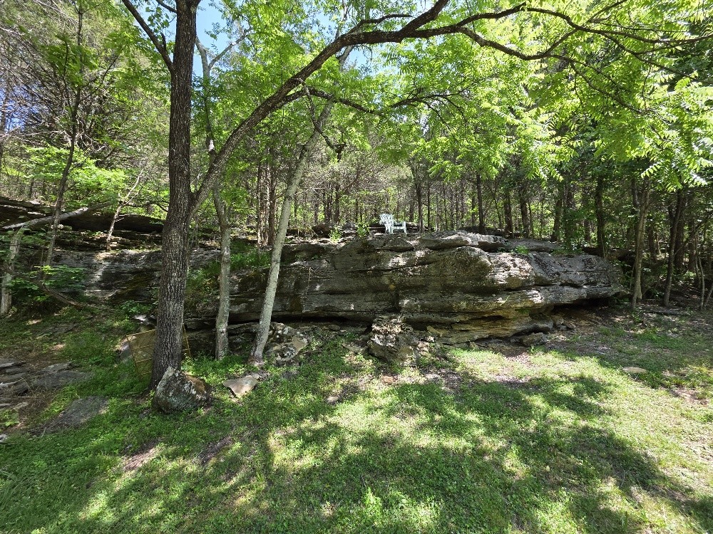 96 Maranatha Hollow Lane Dixon Springs TN 37057