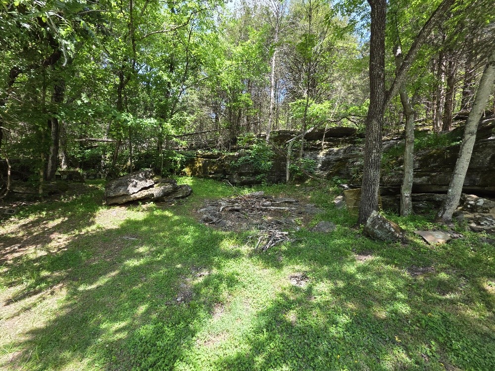 96 Maranatha Hollow Lane Dixon Springs TN 37057