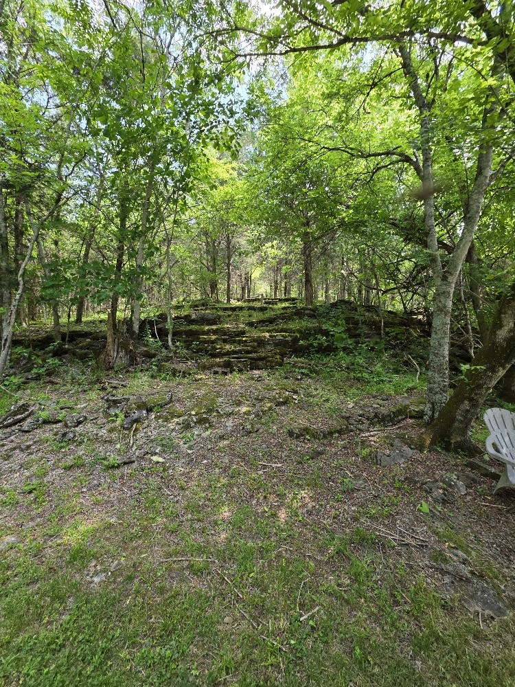 96 Maranatha Hollow Lane Dixon Springs TN 37057