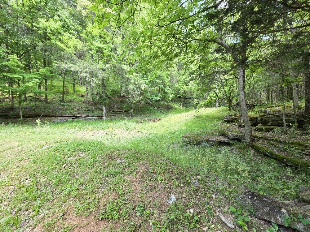 96 Maranatha Hollow Lane Dixon Springs TN 37057