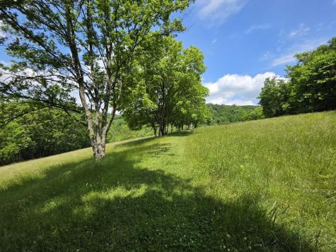 96 Maranatha Hollow Lane Dixon Springs TN 37057