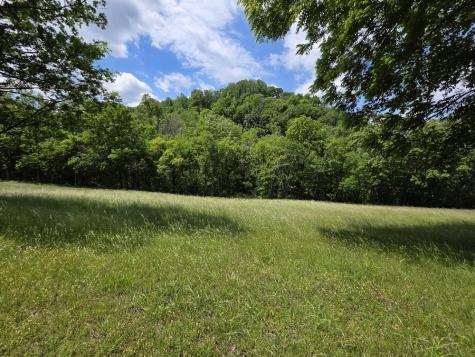 96 Maranatha Hollow Lane Dixon Springs TN 37057