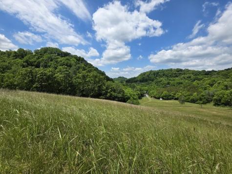 96 Maranatha Hollow Lane Dixon Springs TN 37057