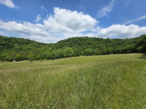 96 Maranatha Hollow Lane Dixon Springs TN 37057