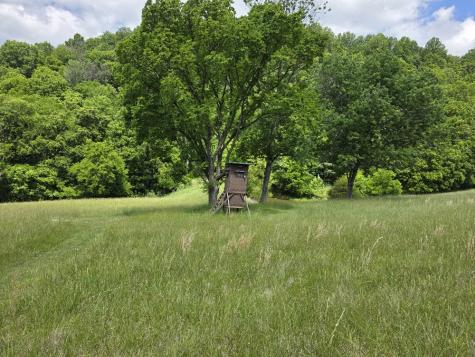 96 Maranatha Hollow Lane Dixon Springs TN 37057
