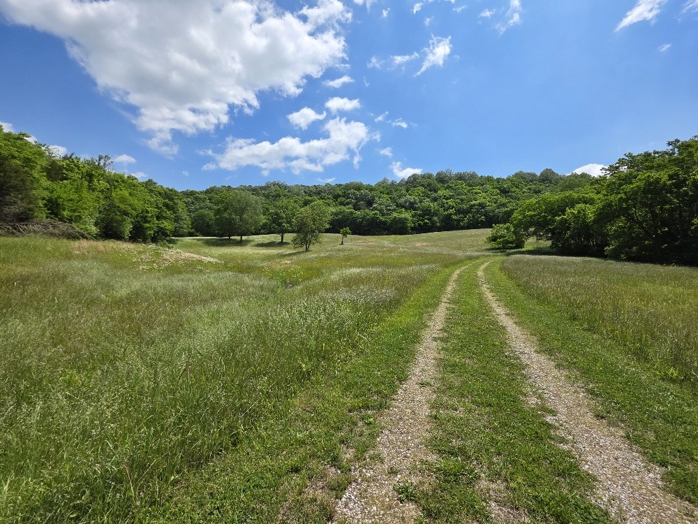 96 Maranatha Hollow Lane Dixon Springs TN 37057