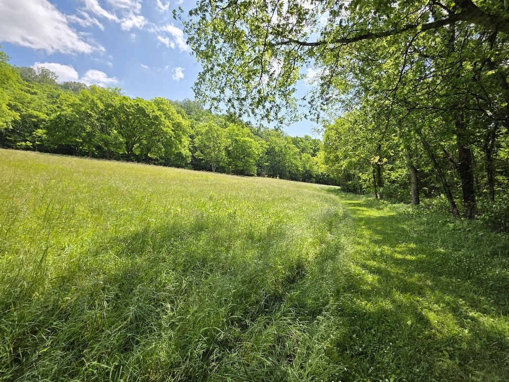 96 Maranatha Hollow Lane Dixon Springs TN 37057