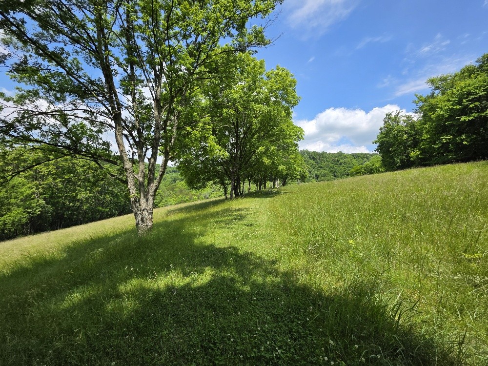 96 Maranatha Hollow Lane Dixon Springs TN 37057