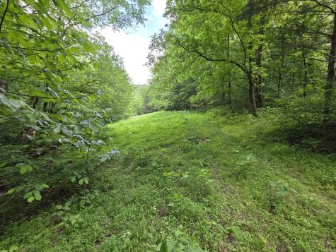 96 Maranatha Hollow Lane Dixon Springs TN 37057