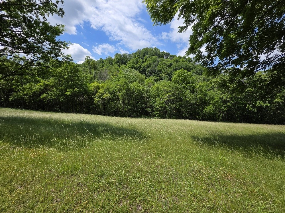 96 Maranatha Hollow Lane Dixon Springs TN 37057