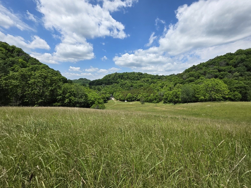 96 Maranatha Hollow Lane Dixon Springs TN 37057