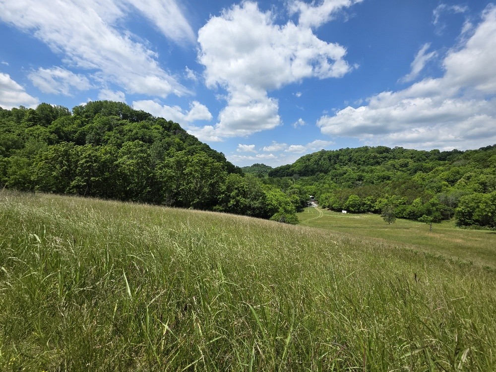 96 Maranatha Hollow Lane Dixon Springs TN 37057