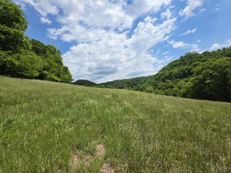 96 Maranatha Hollow Lane Dixon Springs TN 37057
