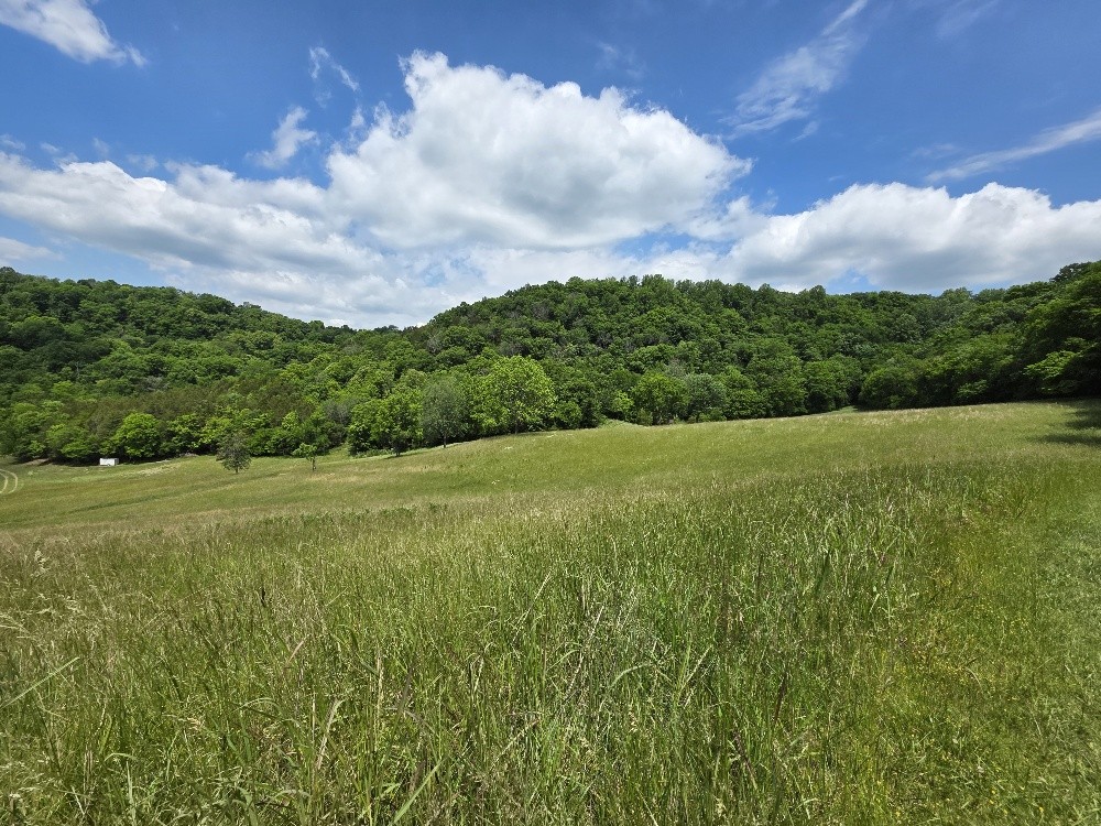 96 Maranatha Hollow Lane Dixon Springs TN 37057