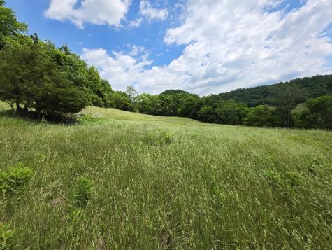96 Maranatha Hollow Lane Dixon Springs TN 37057