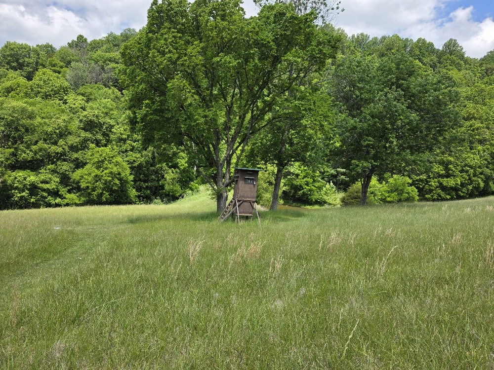96 Maranatha Hollow Lane Dixon Springs TN 37057