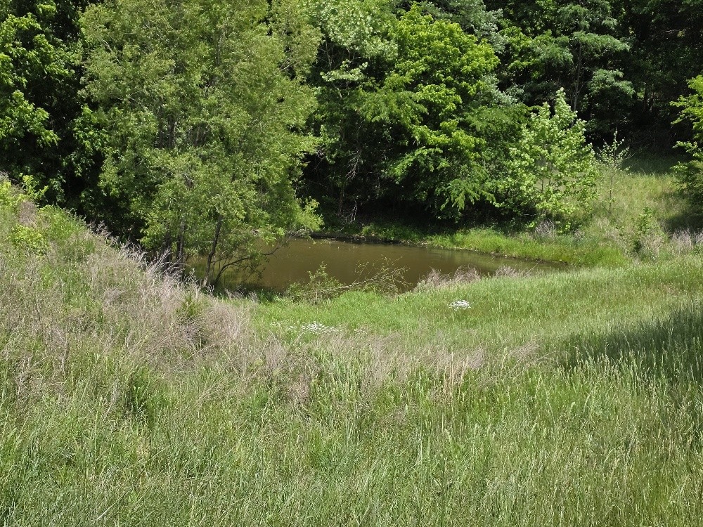 96 Maranatha Hollow Lane Dixon Springs TN 37057