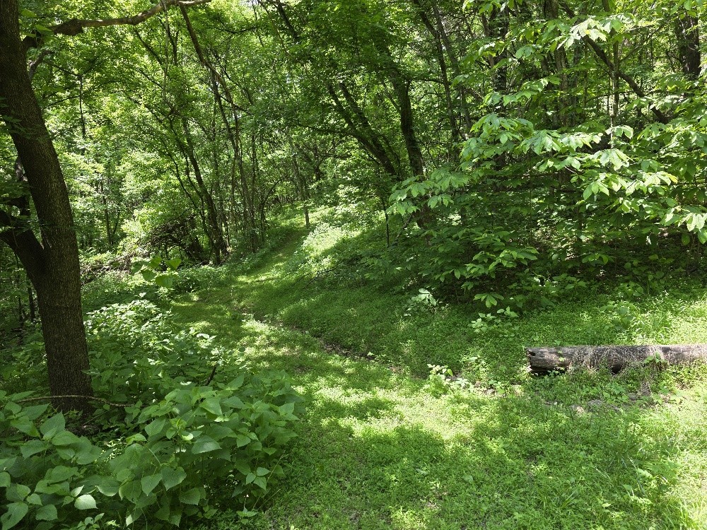 96 Maranatha Hollow Lane Dixon Springs TN 37057