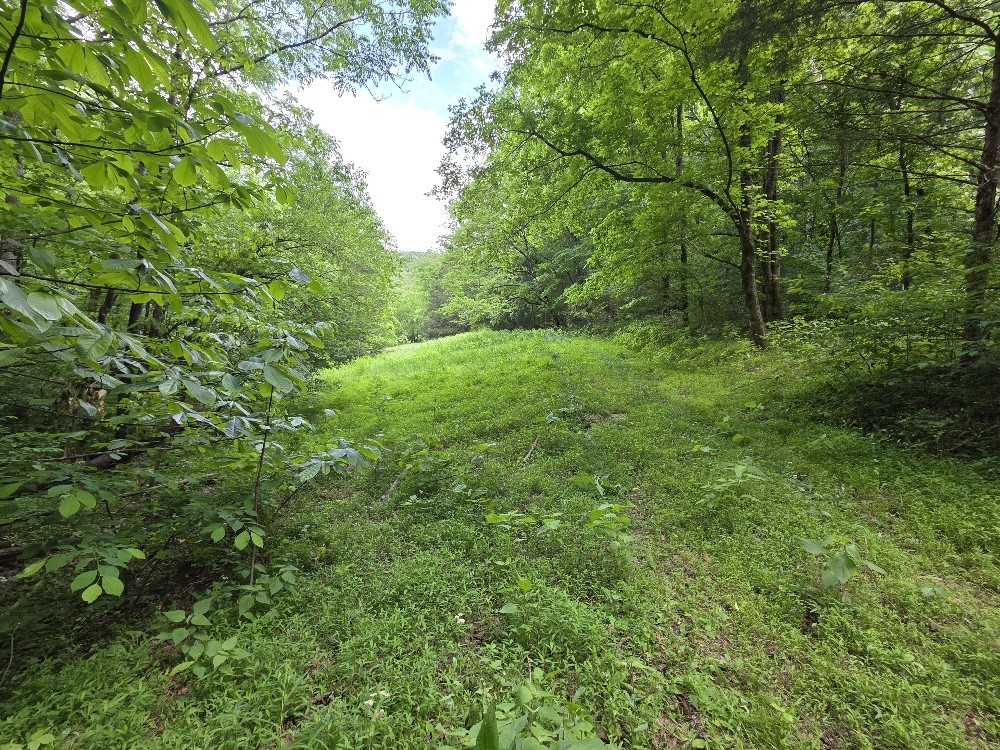 96 Maranatha Hollow Lane Dixon Springs TN 37057