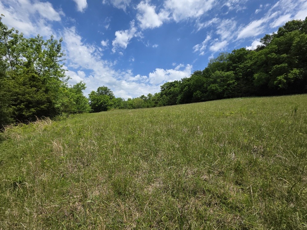 96 Maranatha Hollow Lane Dixon Springs TN 37057