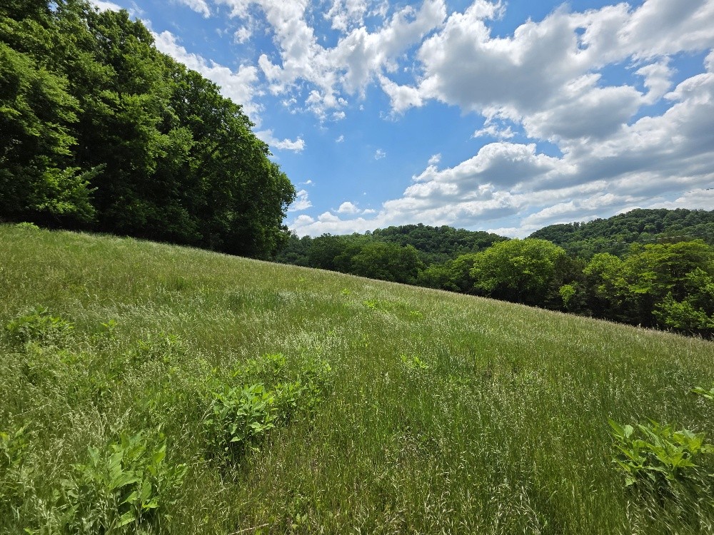 96 Maranatha Hollow Lane Dixon Springs TN 37057