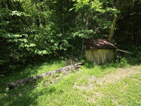 96 Maranatha Hollow Lane Dixon Springs TN 37057