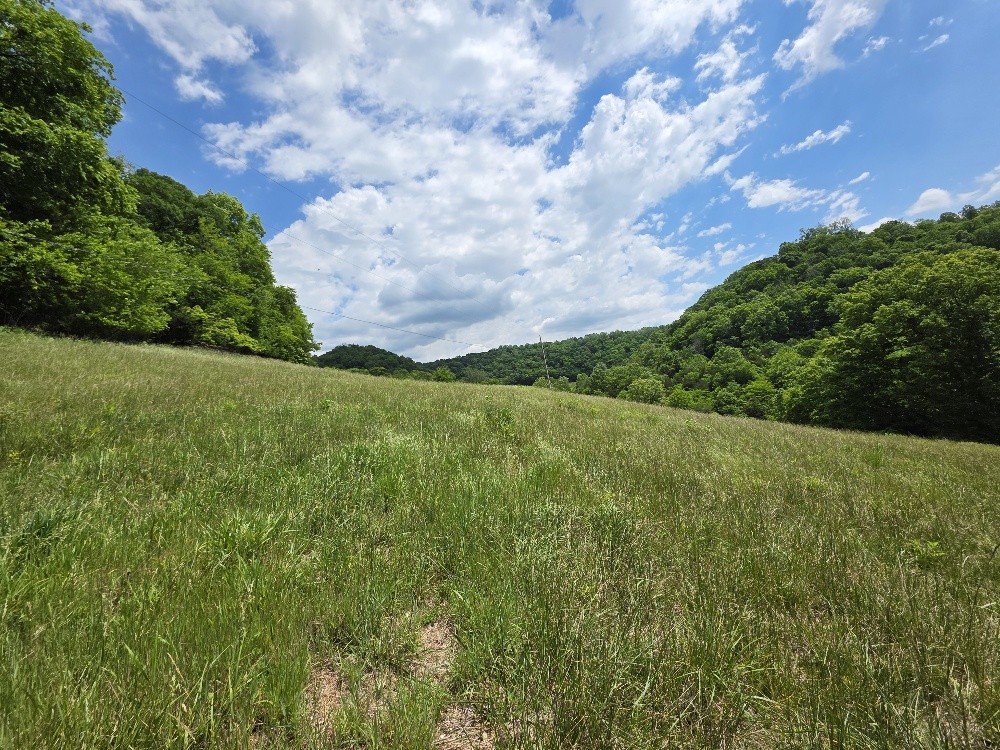 96 Maranatha Hollow Lane Dixon Springs TN 37057