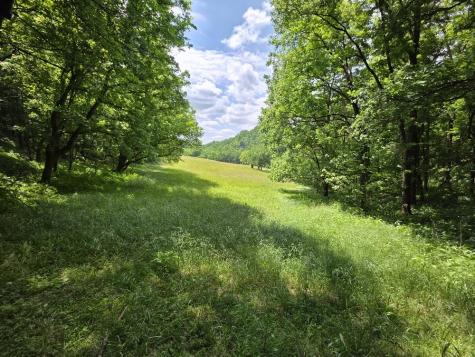 96 Maranatha Hollow Lane Dixon Springs TN 37057