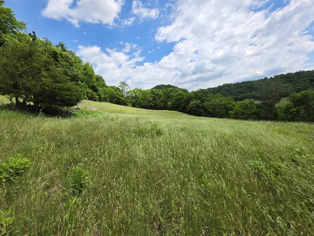 96 Maranatha Hollow Lane Dixon Springs TN 37057