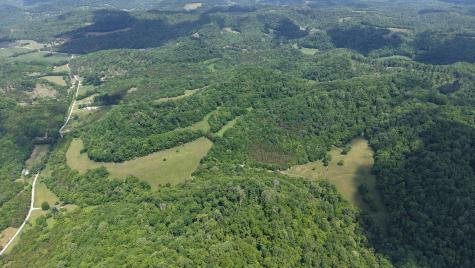 96 Maranatha Hollow Lane Dixon Springs TN 37057