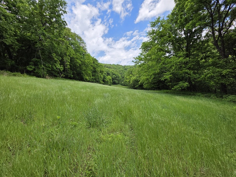 96 Maranatha Hollow Lane Dixon Springs TN 37057