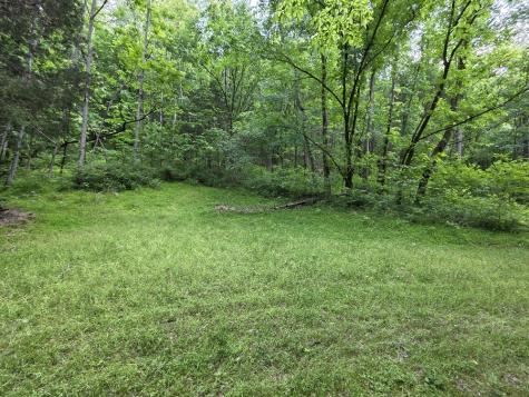 96 Maranatha Hollow Lane Dixon Springs TN 37057