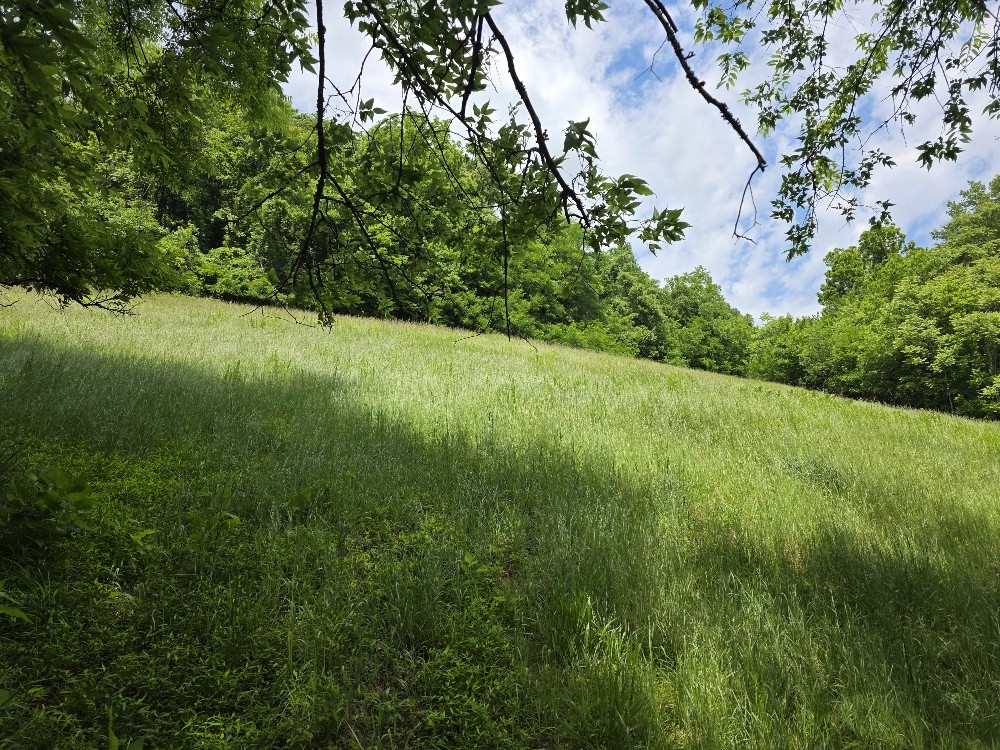 96 Maranatha Hollow Lane Dixon Springs TN 37057