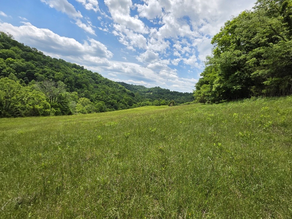 96 Maranatha Hollow Lane Dixon Springs TN 37057